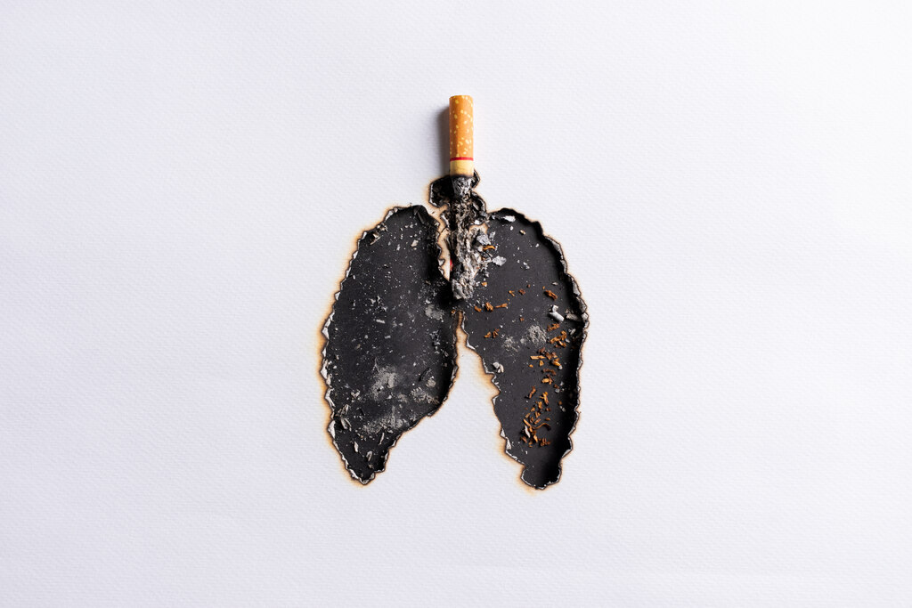 Cigarro aceso queimando um papel branco e formando buracos escuros com cinzas no formato de pulmões humanos, ilustrando os danos do tabagismo.